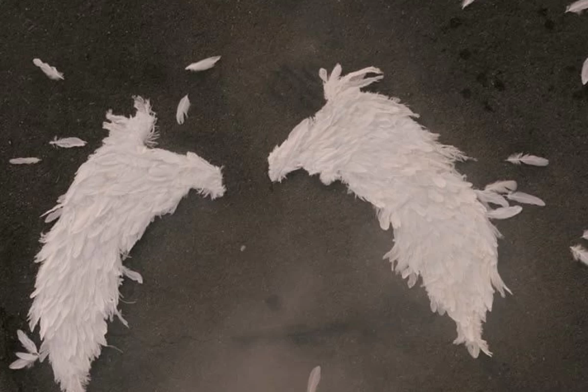 عکس ི§   This angle