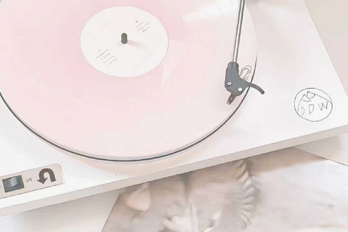 عکس 🎨 : نیمه گمشده؟(فندوم ور)