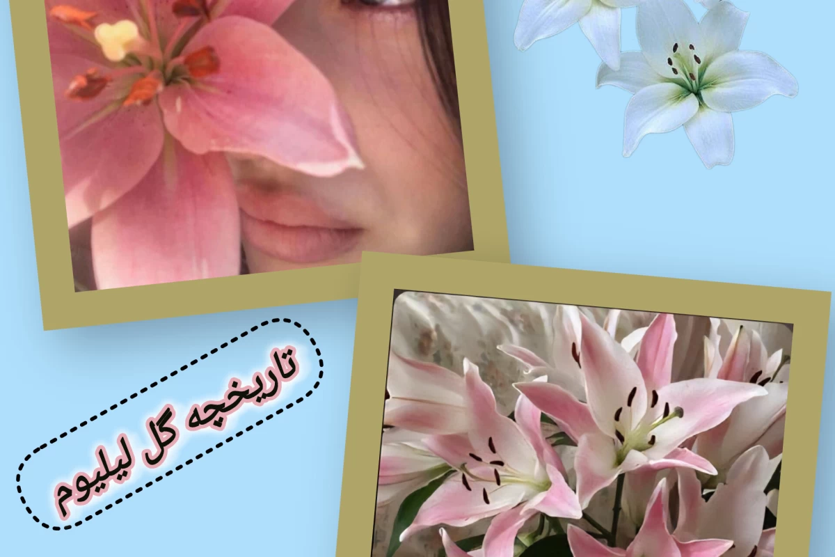 عکس تاریخچه گل لیلیوم