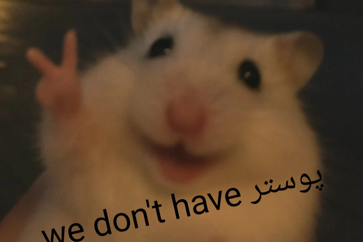 عکس میم توییت p4