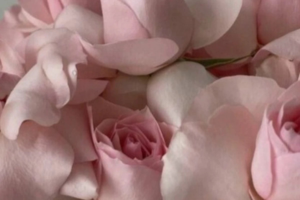 عکس تو عاشق x (ورژن رنگ ها)