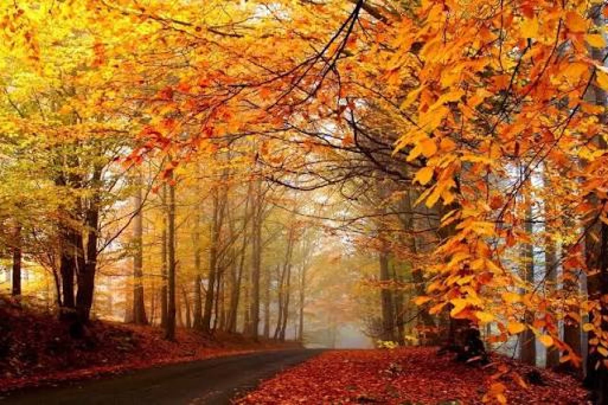 عکس یک روز در مدرسه