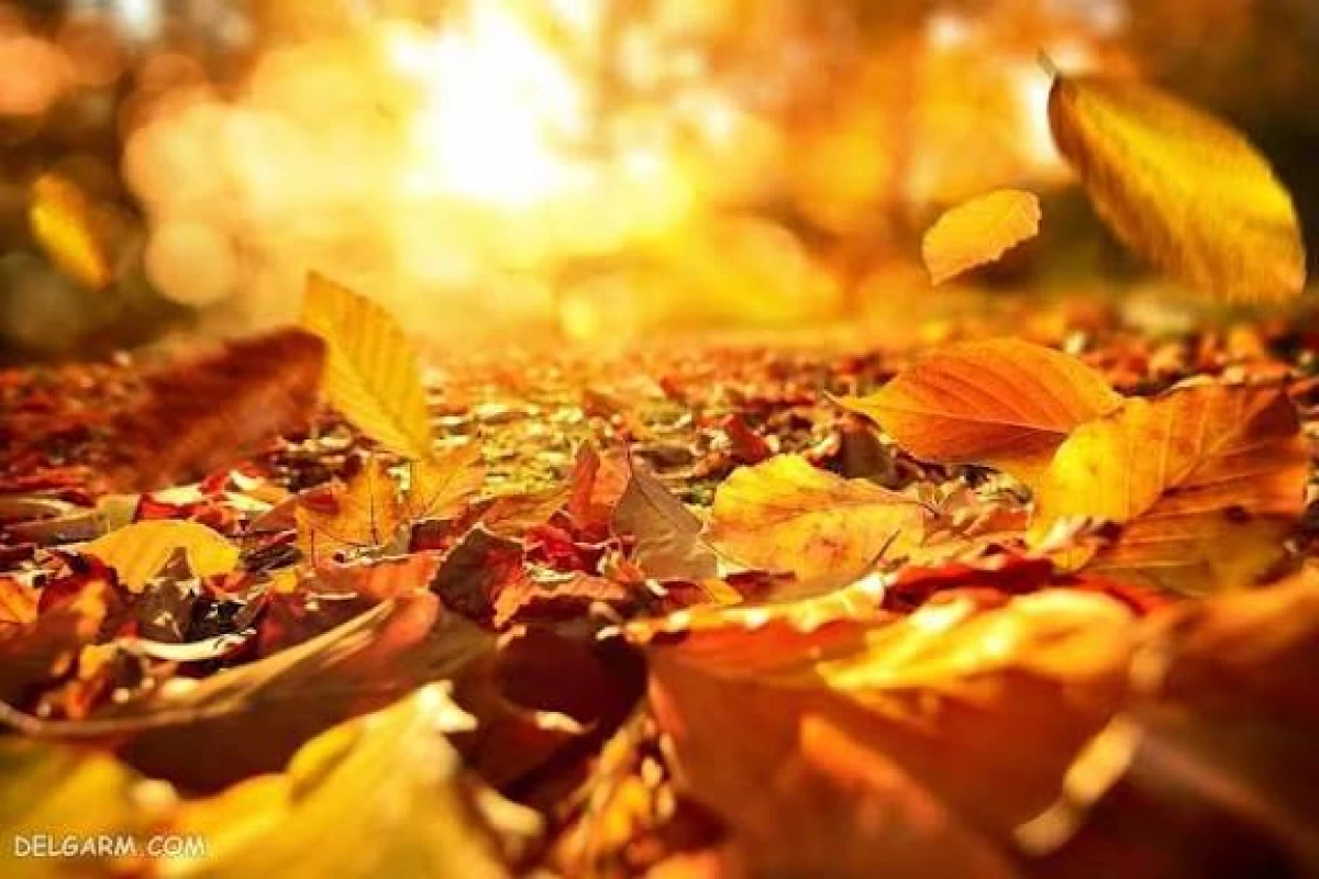 عکس من آلیا هستم آفکورس که...