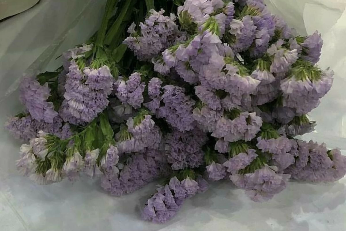 عکس معروف ترین و بهترین سریال های کره ای که حتما باید ببینین