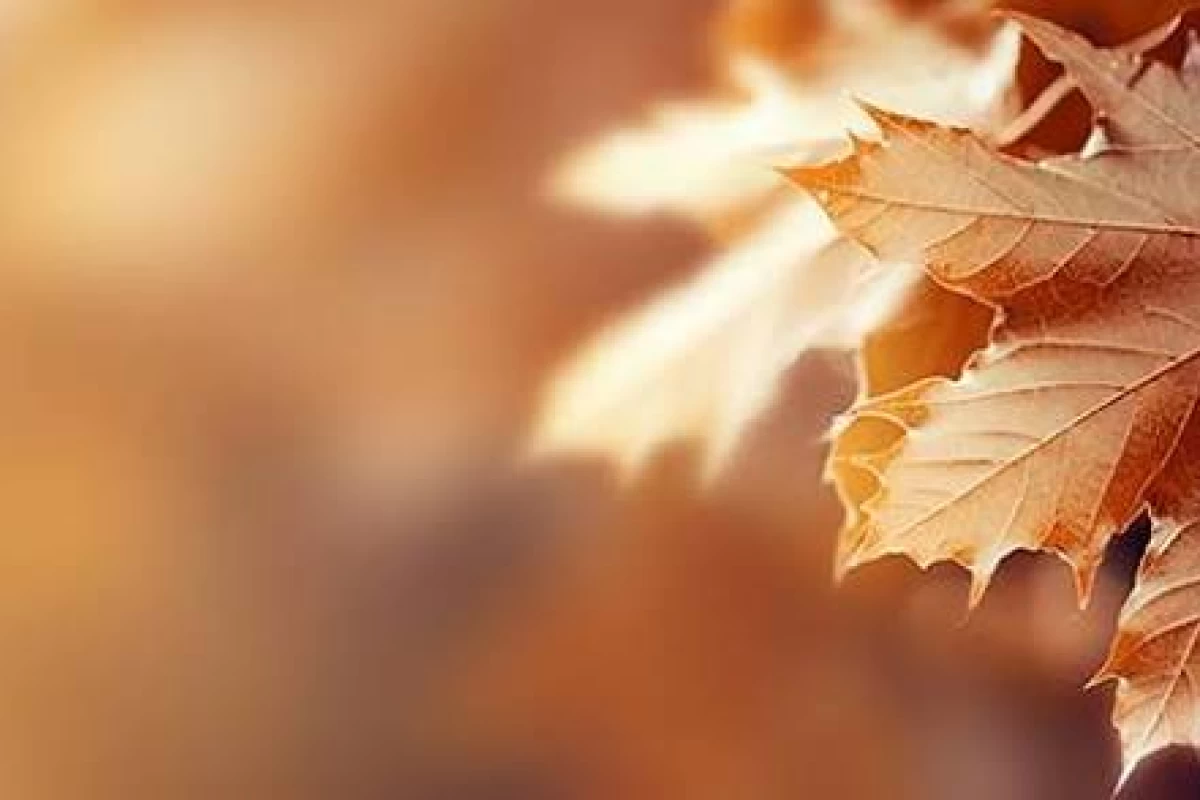 عکس من یه فنتزی فن هستم معلومه که...