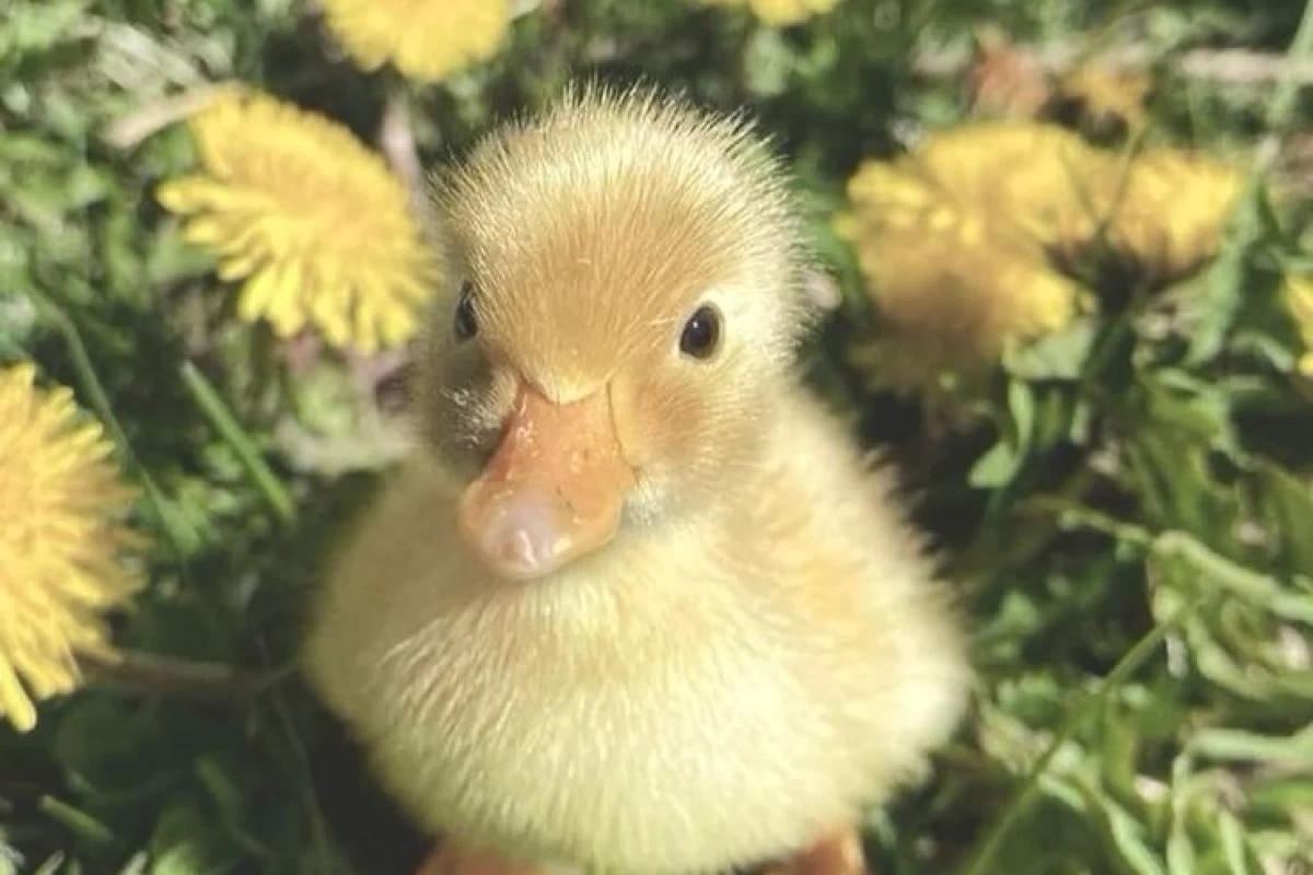 عکس ✞توییت میم✞ p2