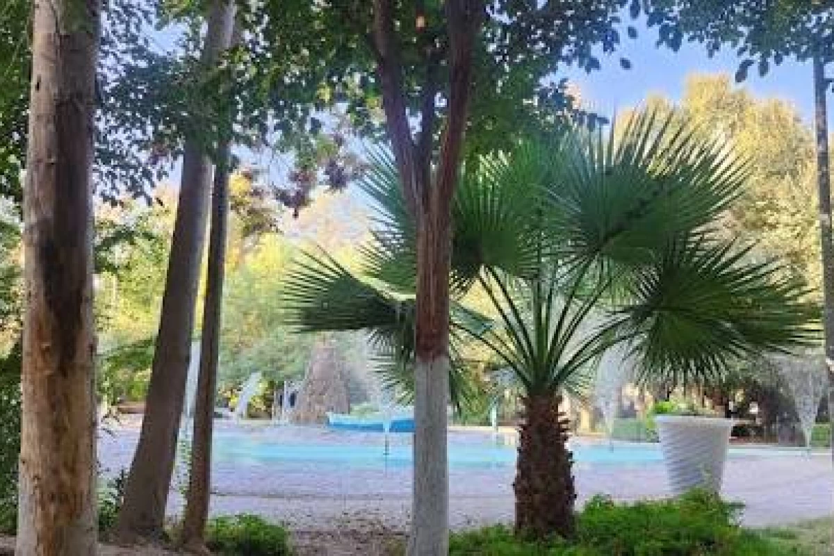 عکس استان یزد؟