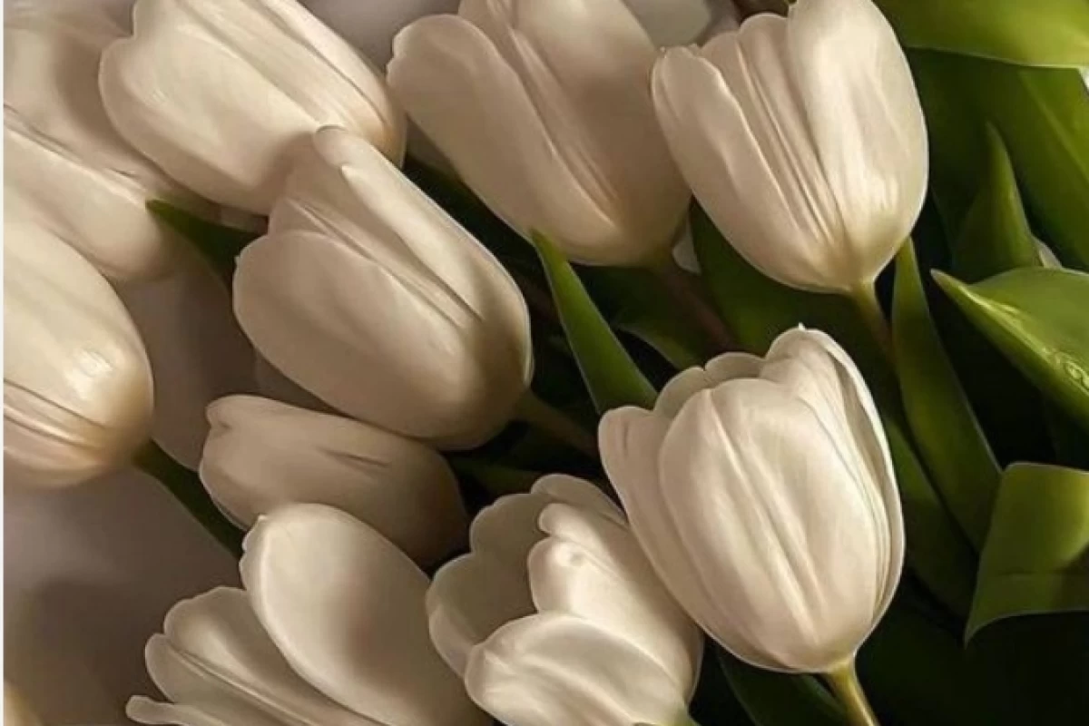 عکس چقدر از دروغ سفید استفاده می‌کنی؟