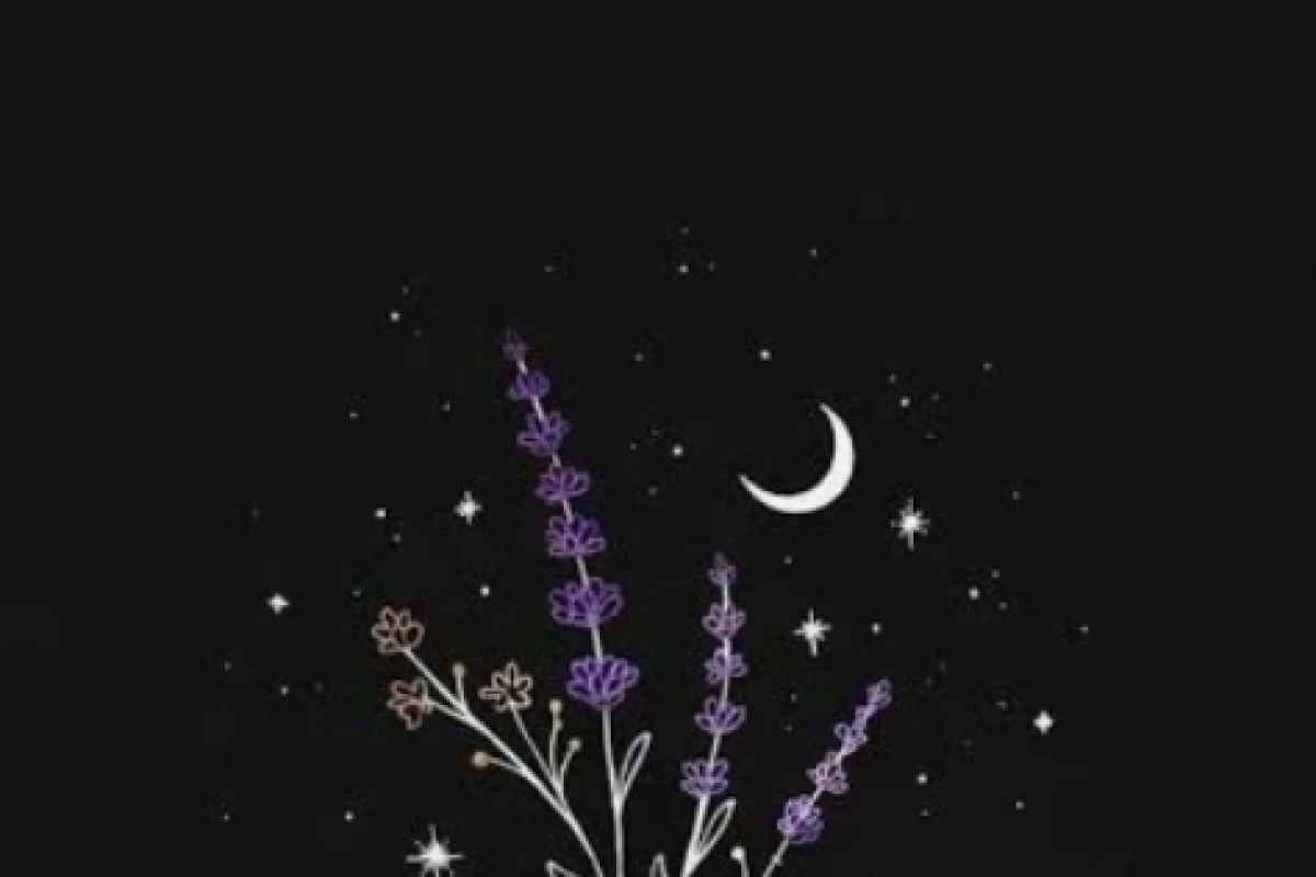 عکس مشکی ؟(: