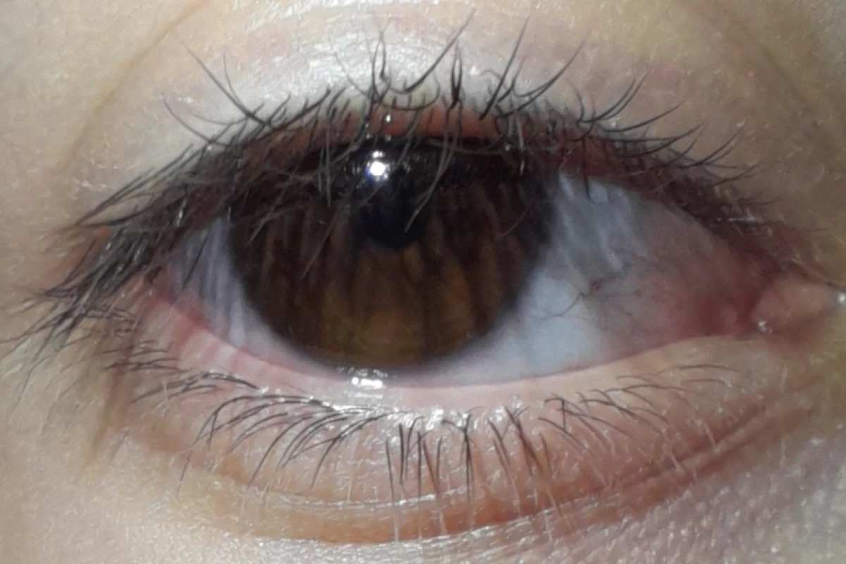 عکس توییت رنگ ها 🫶✨🫵(پارت ششم)