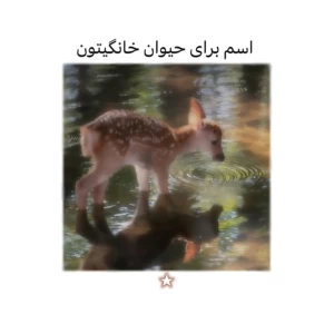 کاور