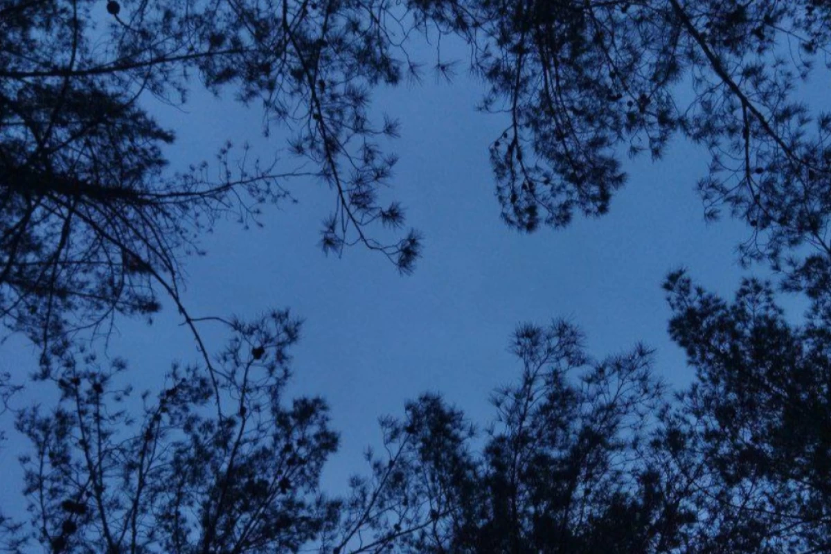 عکس رها شو از پیلـہ خواب