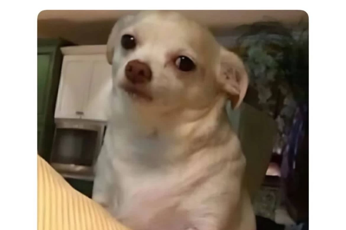 عکس توییت خنده دار و حق پارت ۱۳