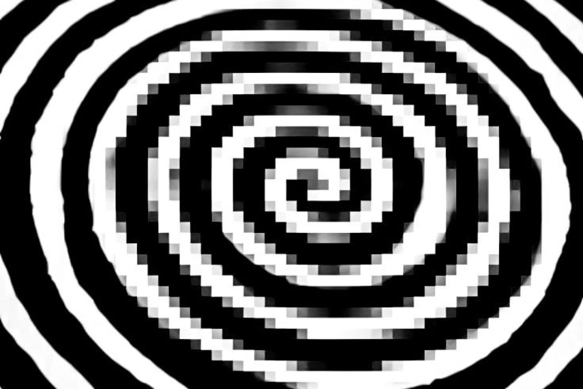 عکس حیوانات در 𝆠حال انقراض