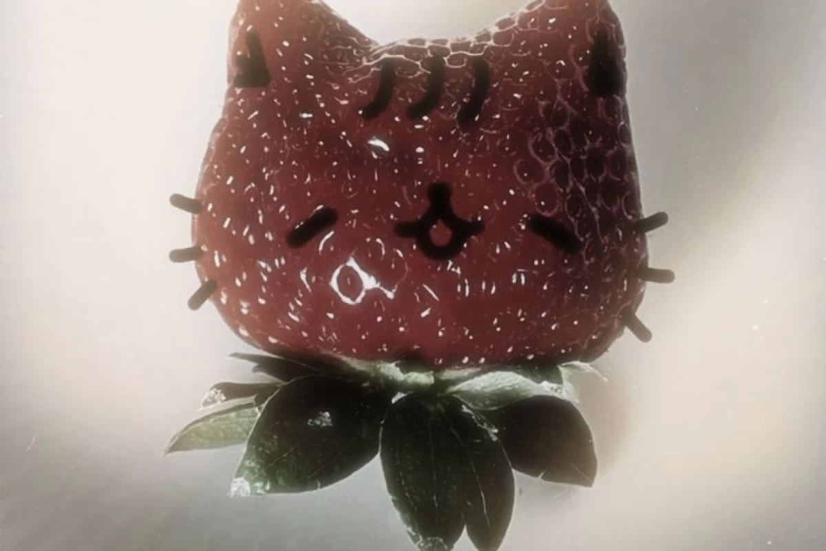 عکس کاربرای تستچی به عنوان لباس🍂