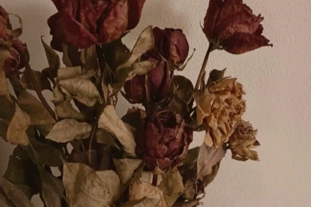 عکس عشق از کجا آمد؟