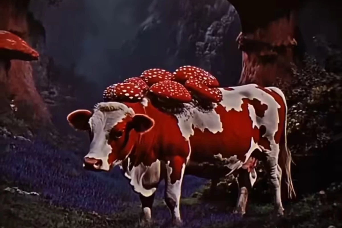 عکس هنرمند درون شما-خلاقیت ذهنی