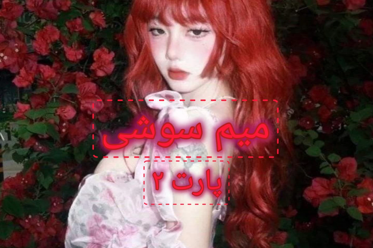 عکس میم سوشی(پارت ۲)