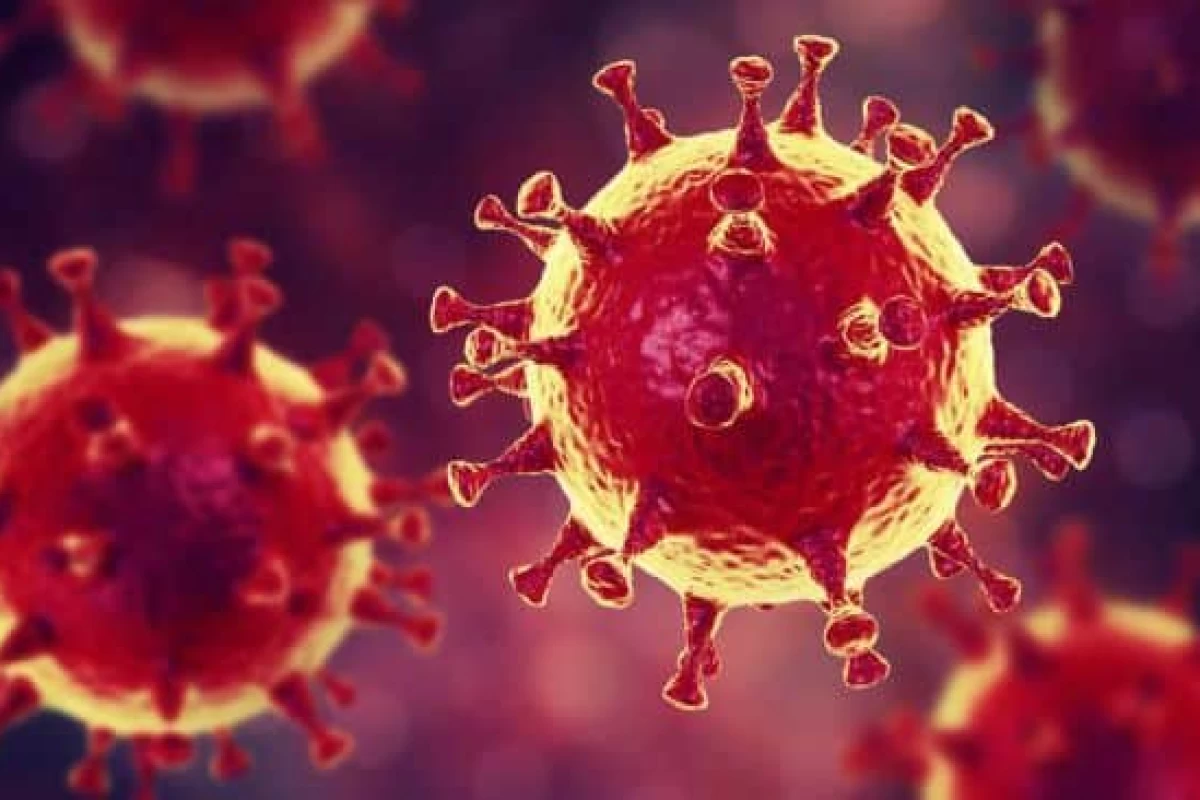 عکس ۱۲ ویروس مرگبار