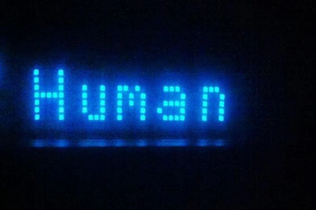 عکس ادبیات بانگو②