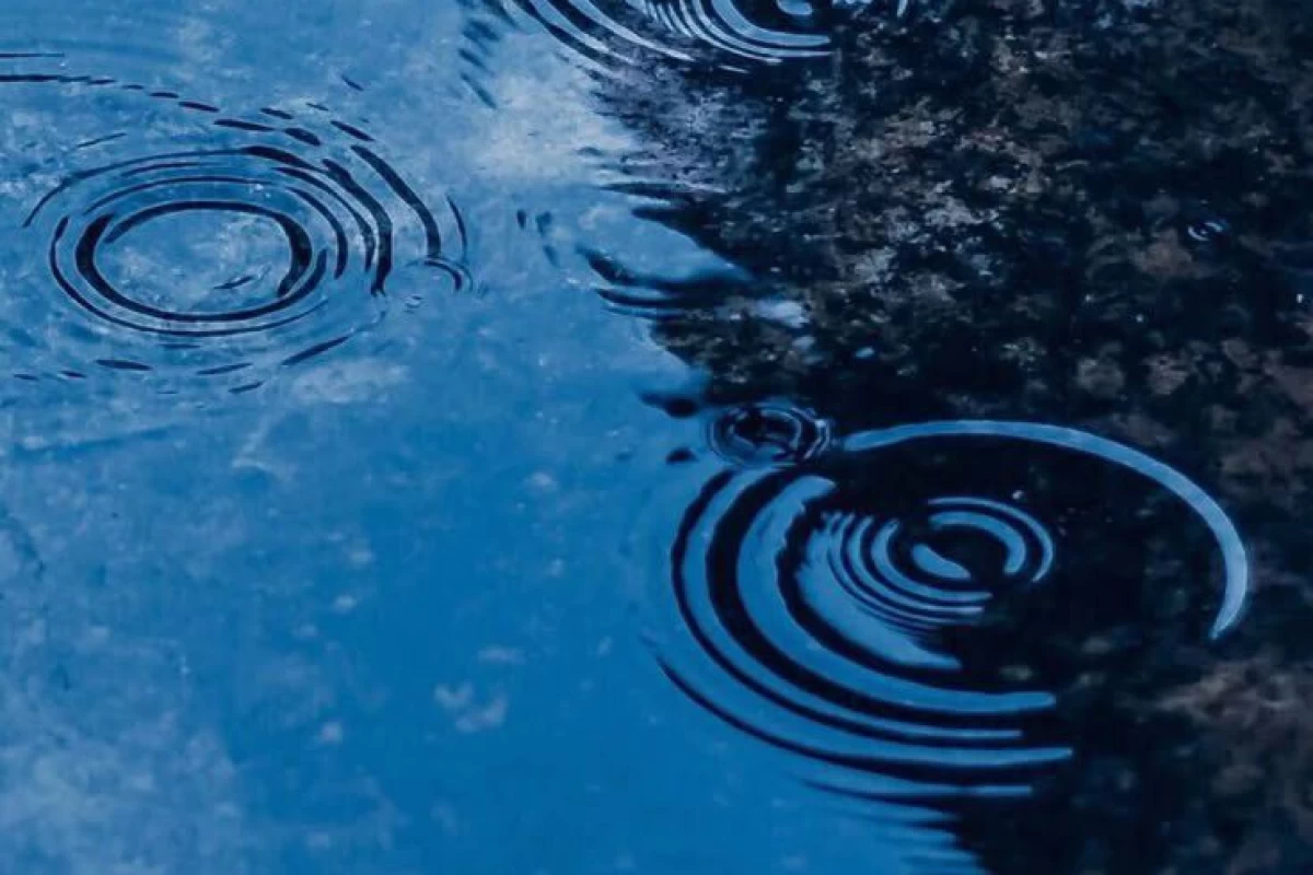 عکس مرگ خوار‌ها