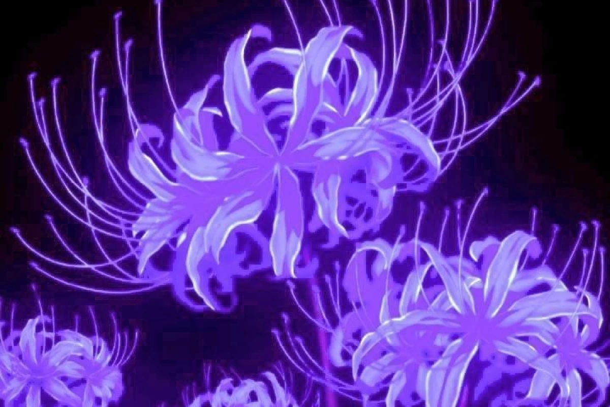 عکس 𝜗ৎ:بیو ی کاربر ویولت؟