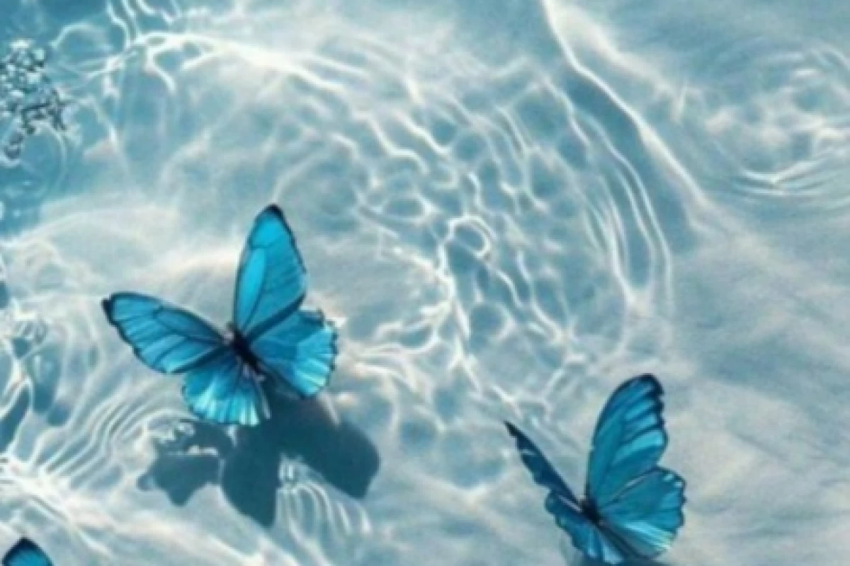 عکس برتری تایپ های • MBTI •