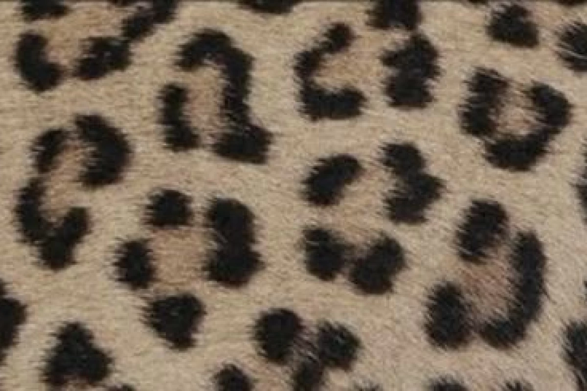 عکس 💬:در زنگ عربی چه میگذرد؟ مجازی ورژن