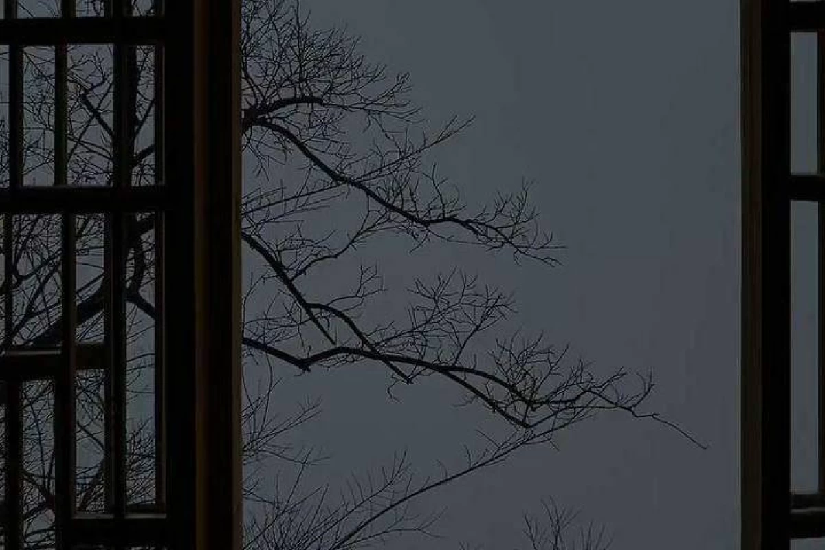 عکس هر ماه اگه قلبش بشکنهP2