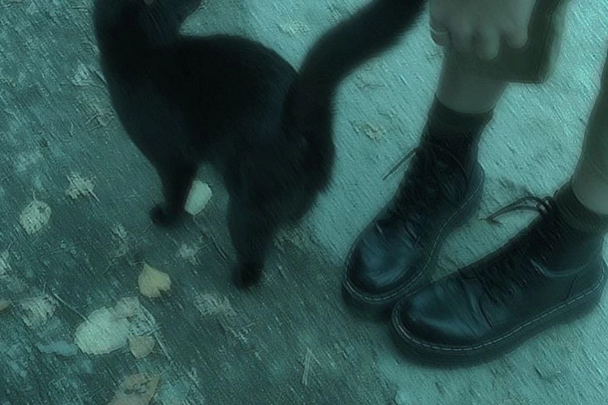 عکس نیاز نیست برای پرنسس بودن...