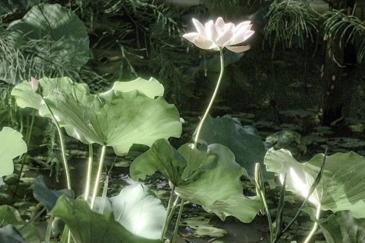 عکس خدایا من رو ببخش!