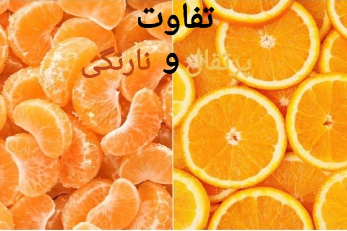 عکس فرق نارنگی و پرتقال