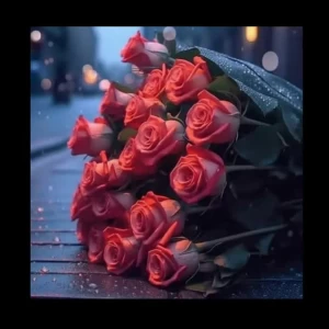 عکس متن های اهنگ های شادمهر