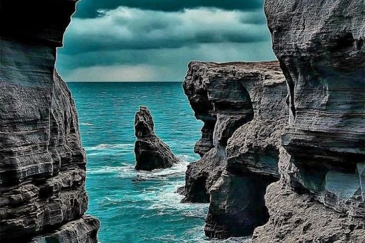 عکس 🌸معنی رنگ های مختلف گل🌸