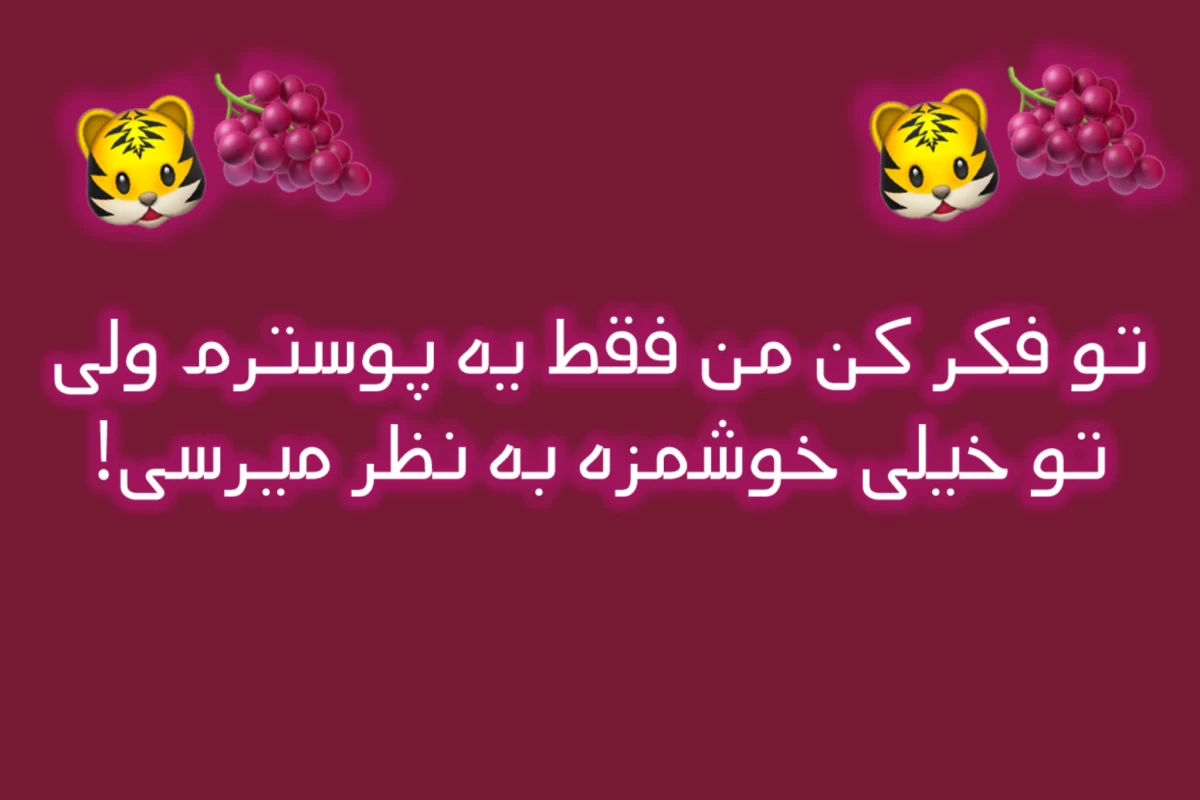 عکس توصیف کاراکترهای میراکلس؟پارت۲