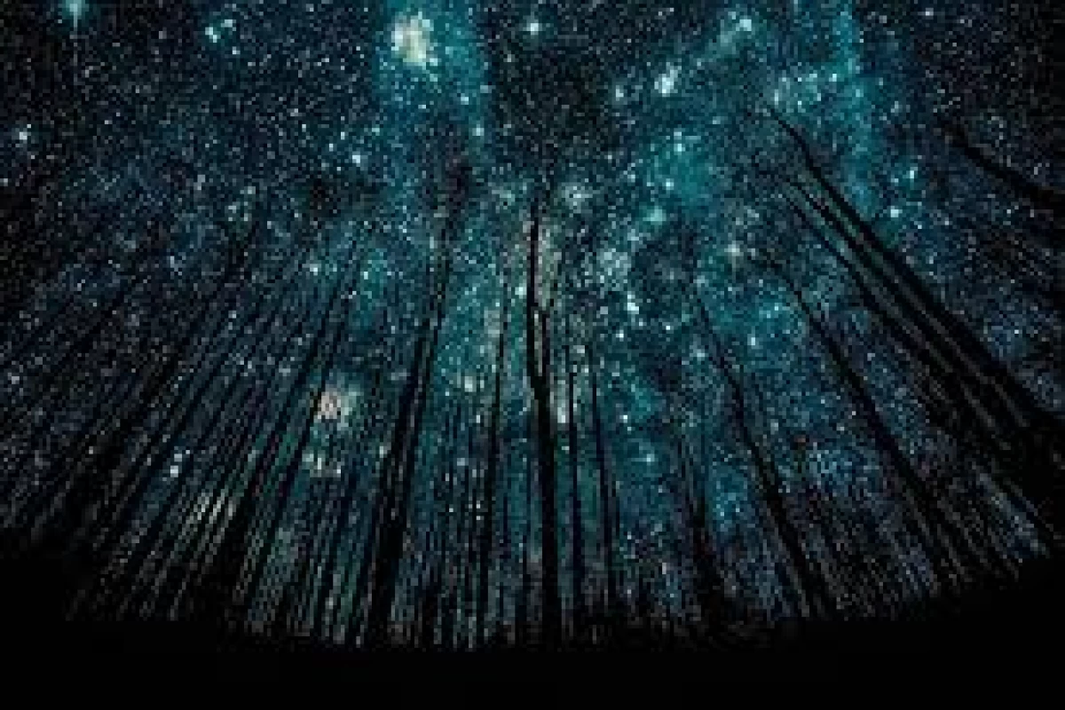 عکس نخستین و آخرین هیولا (پارت یک)