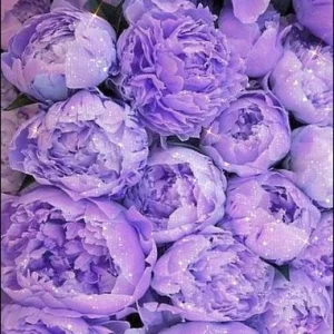 عکس آشنایی با من