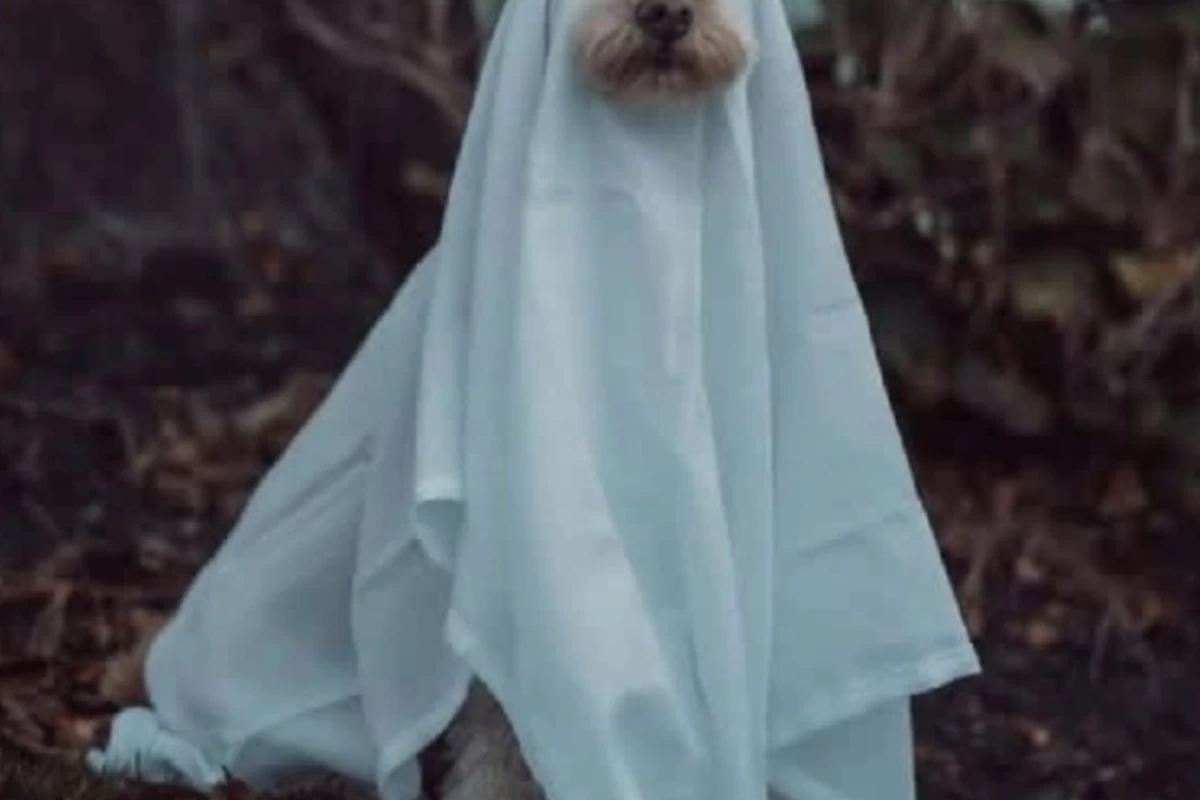 عکس وضعیت مدرسه ما core :