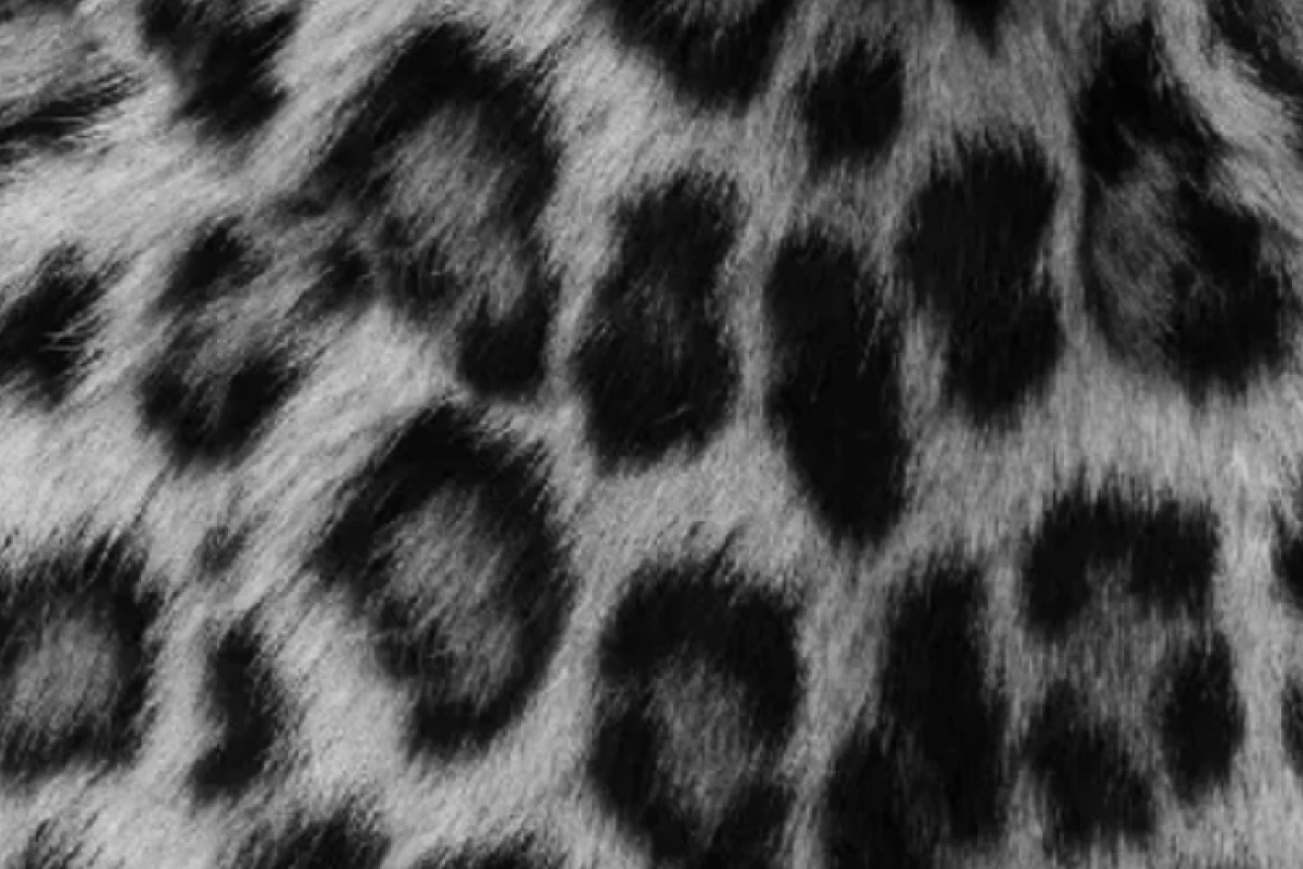 عکس 🎸:دست سازه های آفتآب کوچولو