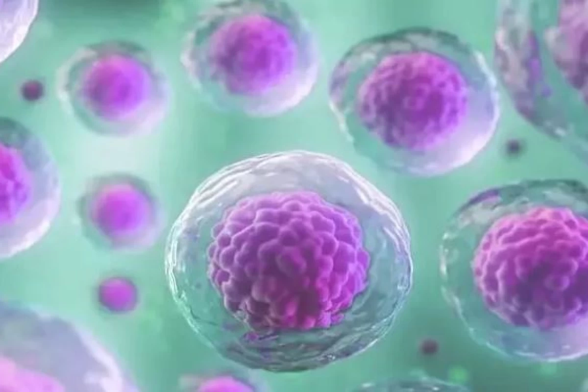 عکس اجزای سلول را بررسی می کنیم