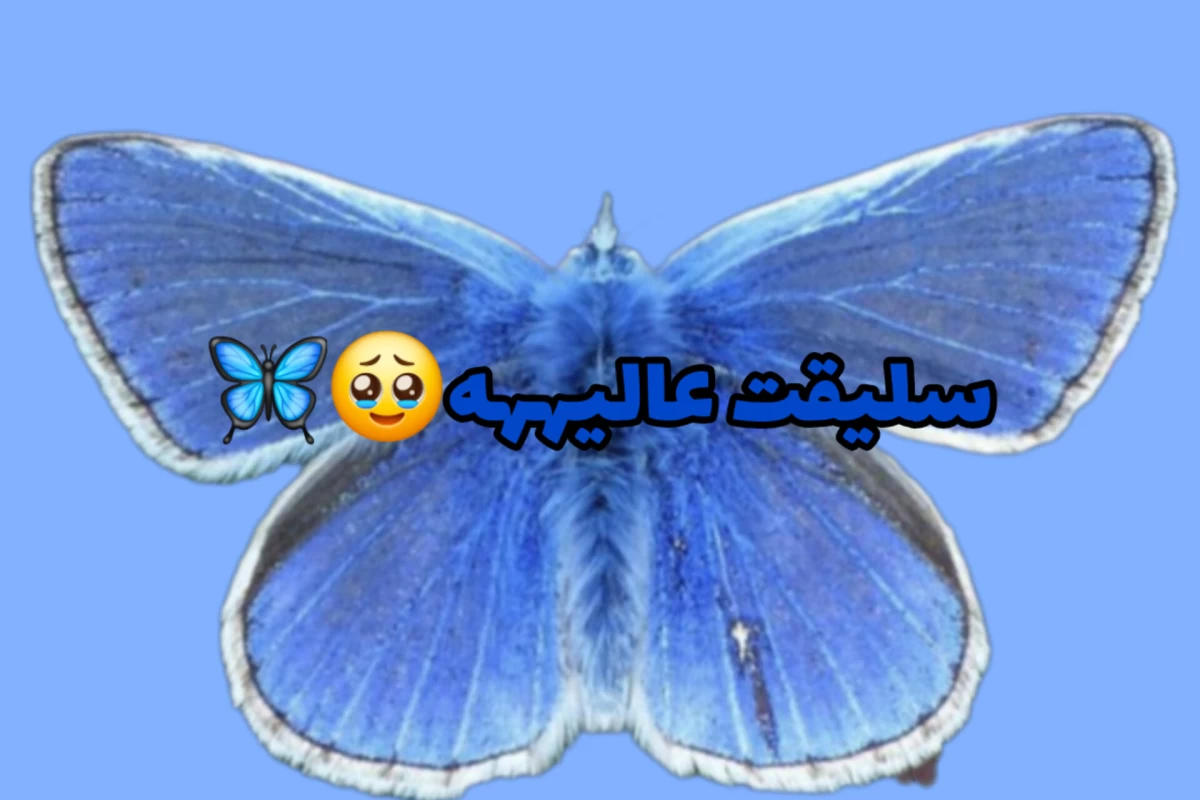 عکس این یا اون؟!(chatgpt ver)