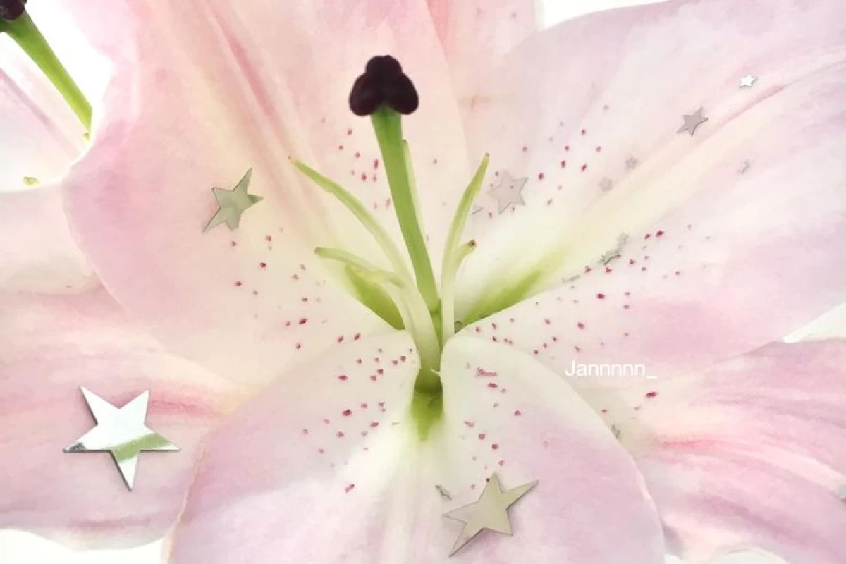 عکس توی زمستون چجوری میکاپ کنیم؟