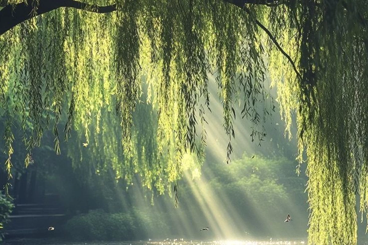 عکس ⁹ৎعکس از INFP𐦍