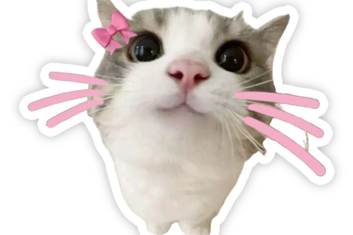 عکس مود/قیافه من وقتی که