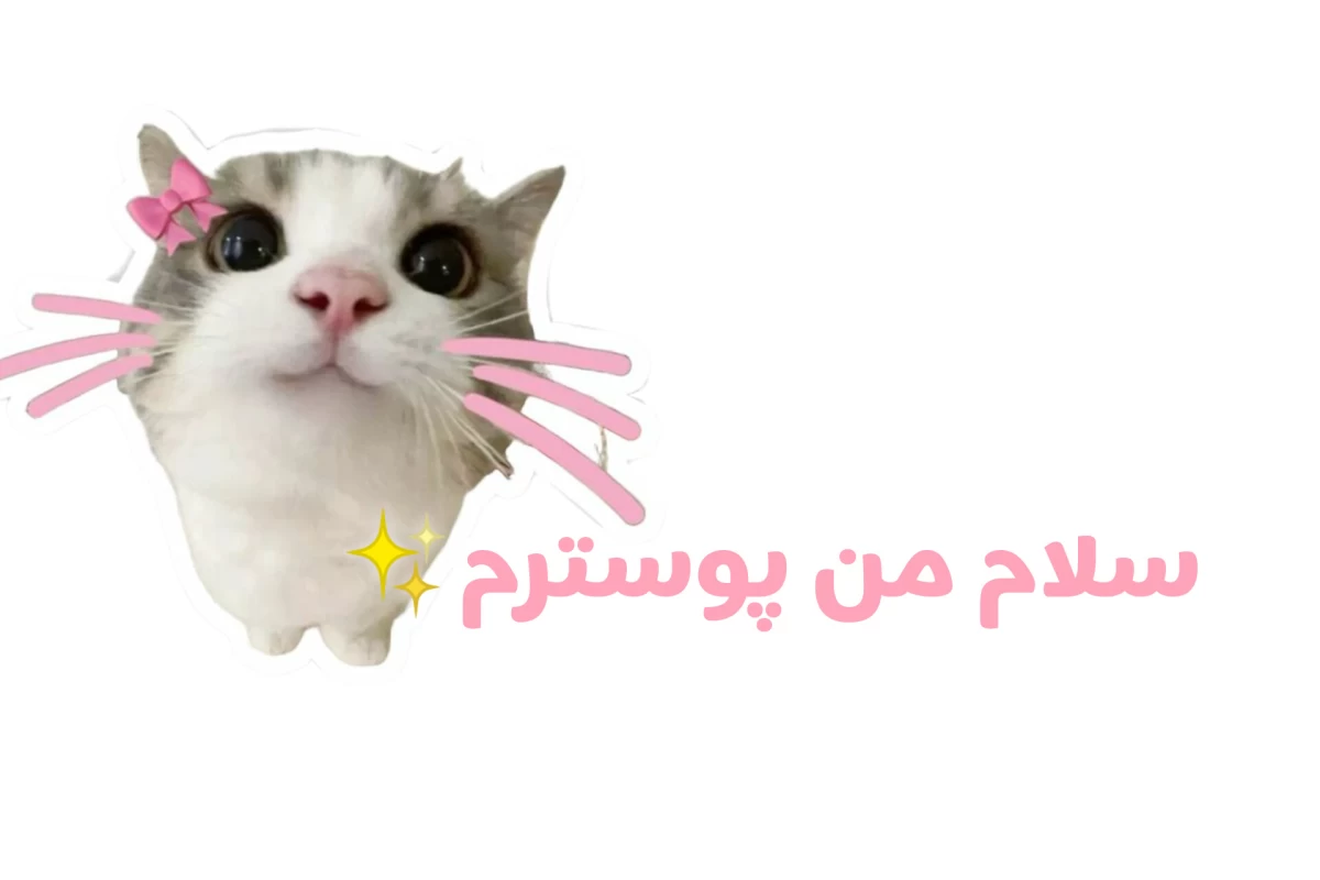 عکس او زیبا بود به طوری که..