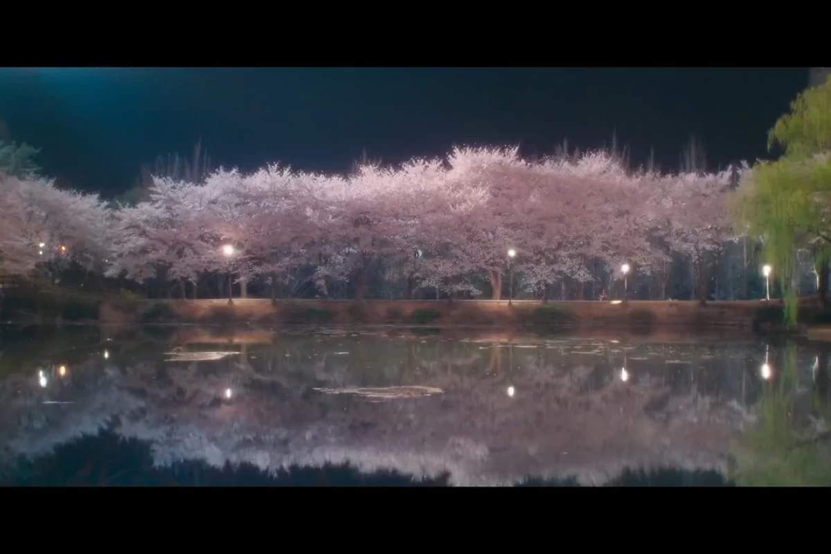 عکس سـتـارهـ دریـاییـ