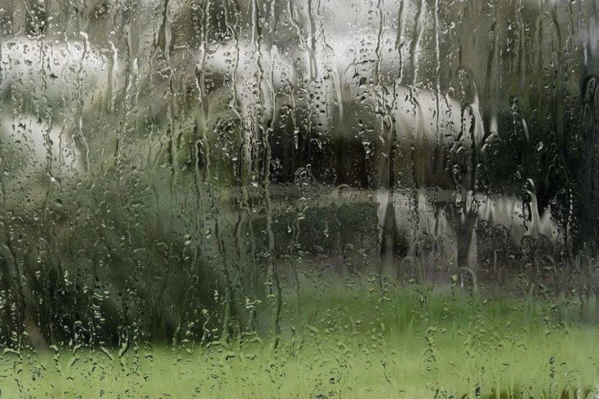 عکس 🌦:تو پیر شدی! (ورژن تستچی)