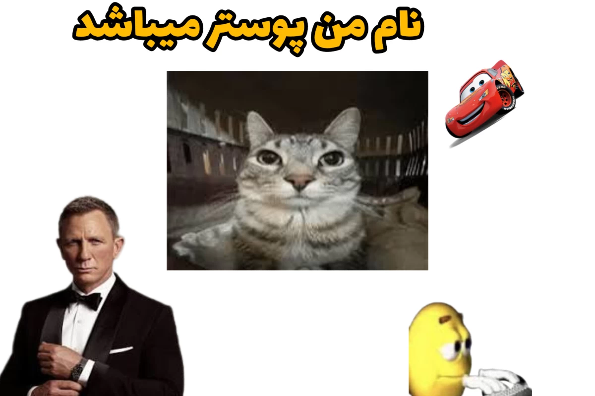 عکس منطق های بی پایان تستچی!