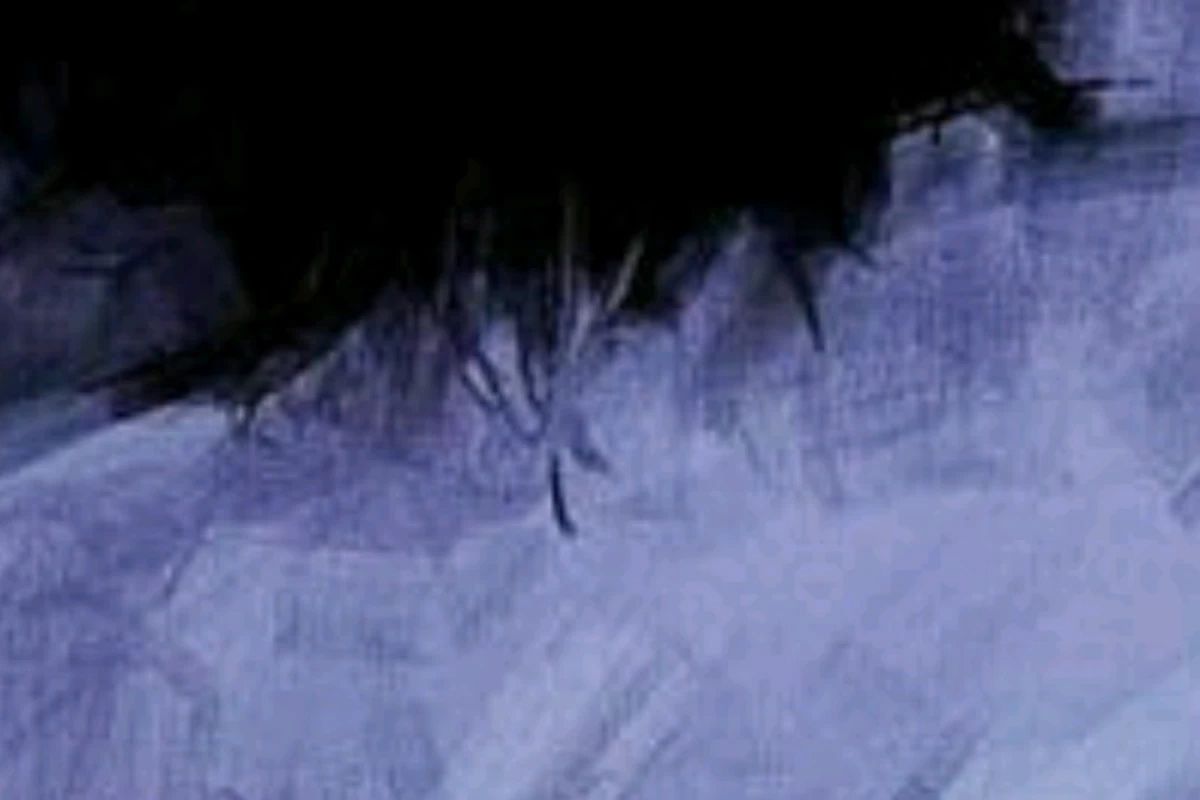 عکس •معنی بعضی از آهنگا•پارت اول.