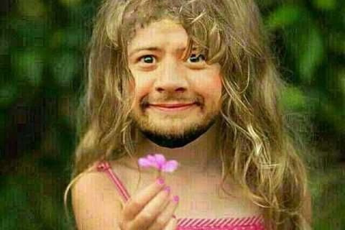 عکس طنز با طعم فلافل...